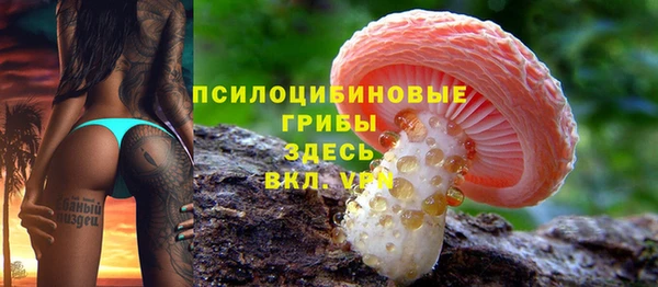 крисы Вяземский