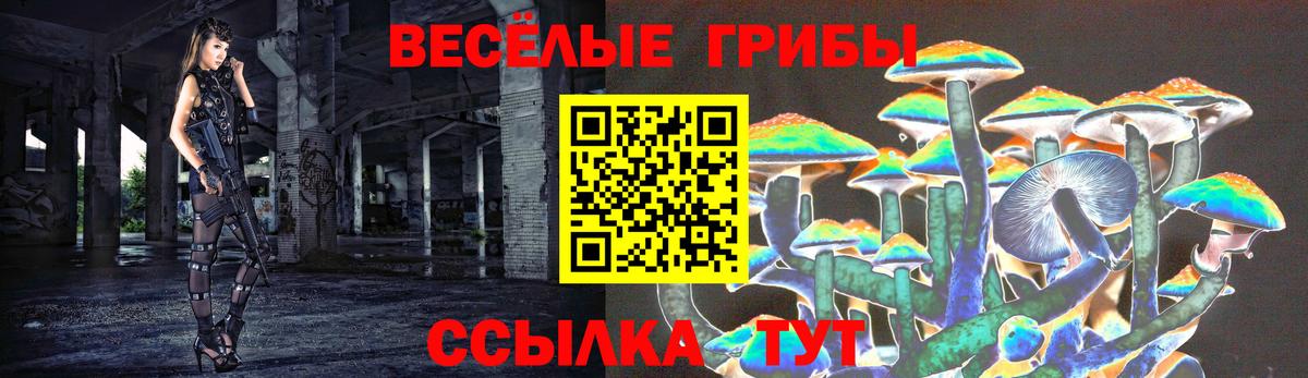 Галлюциногенные грибы Magic Shrooms Железноводск