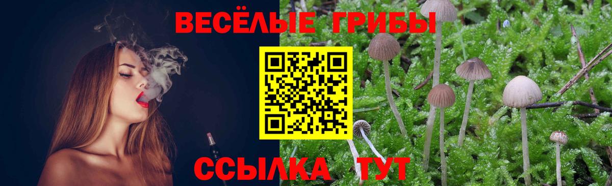 Псилоцибиновые грибы Psilocybe  Железноводск 