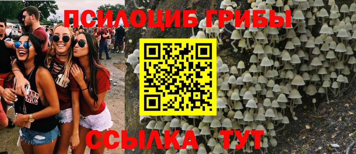 Псилоцибиновые грибы Psilocybine cubensis  Псилоцибиновые грибы Psilocybe  Вход с VPN  Железноводск 